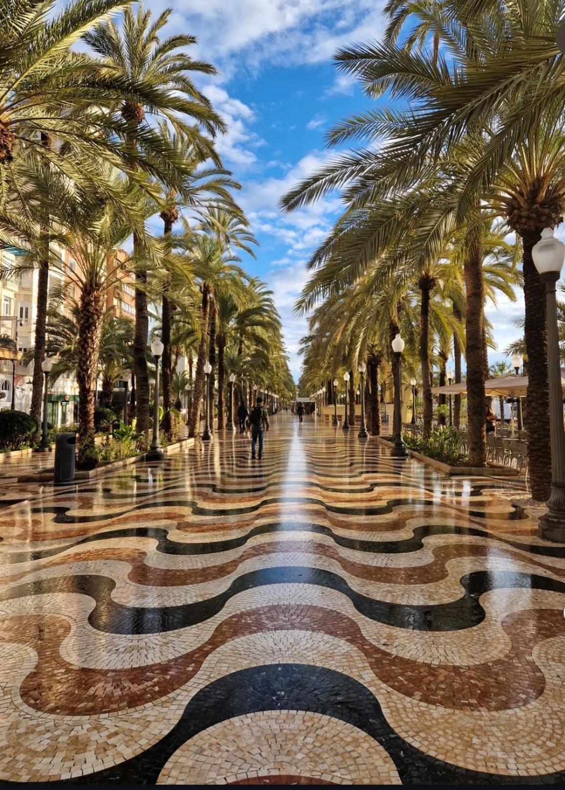 Carlo Hospedaje Alicante